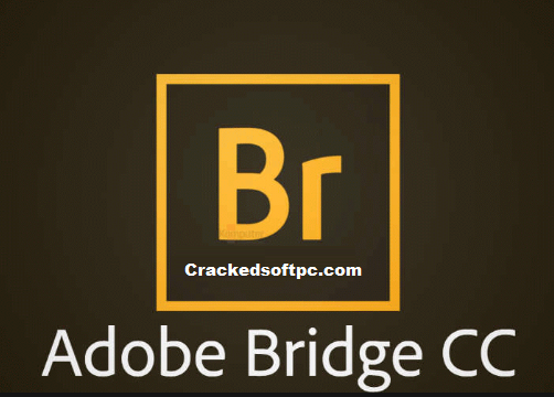 Adobe Bridge แคร็ก